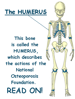 Humerus