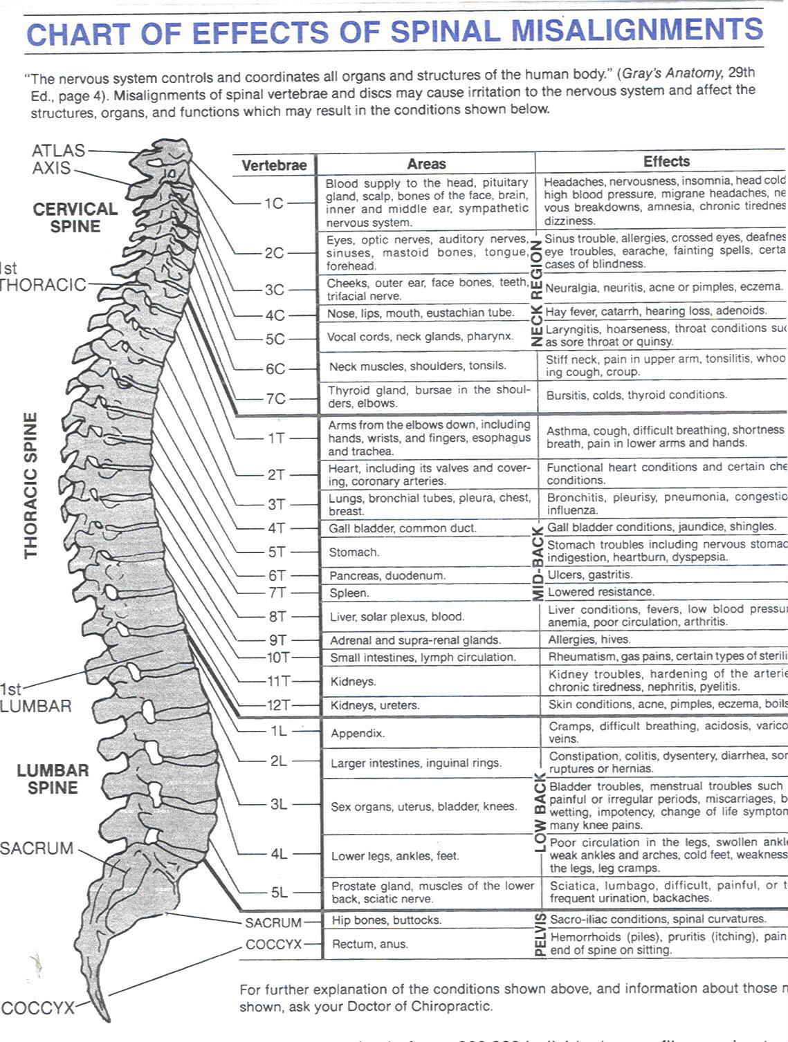 Misalignment Of The Spine